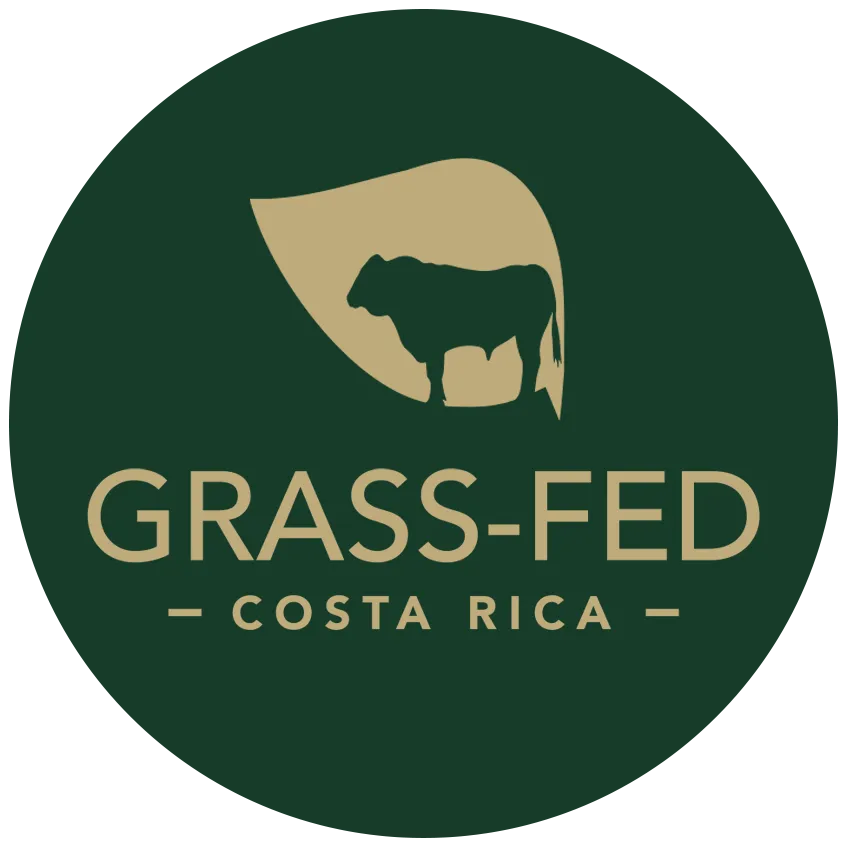 Miel SKBee en GrassFed